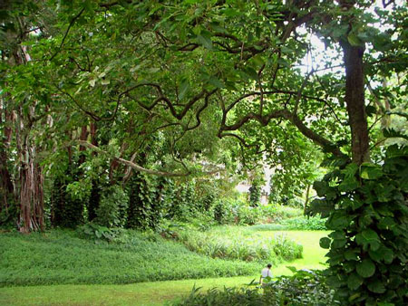 Scene from recent healing retreat -